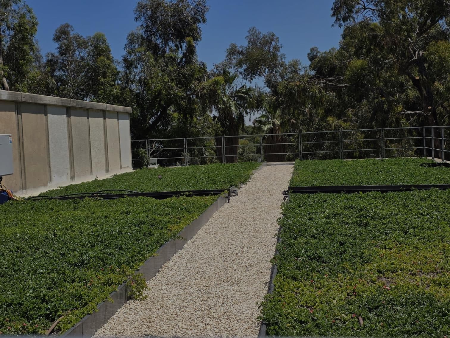Live SmartFlow blue-green roof - rooftop vegetation irrigated with detained rainwater